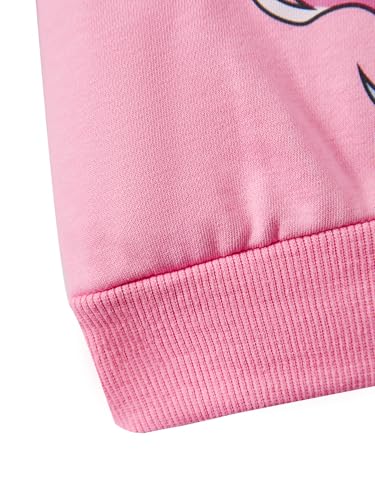 Image of Little Girls Outfits 2 Piece Toddler Long Sleeve Sweatshirt Leggings Pants Fall Winter Clothing Set 2-10 Years