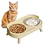 Cat Bowls-Yellow