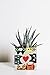 Cat Heart Planter, Succulent Planter Box, Organizer, Cat Mom, Cat Lovers, Catnip