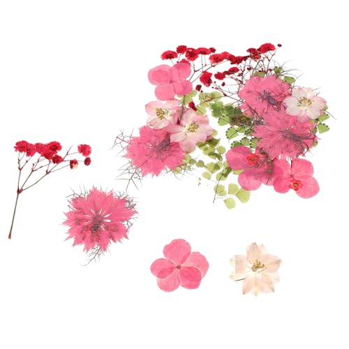 Kit artesanal 30 piezas flores secas prensadas