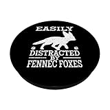 Zoom IMG-1 facilmente distratto da fennec foxs