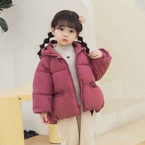 Baby Girl Boy Winter Coats Thicken Hoodie Down Padded Jacket Coat Outwear Windproof Snowsuit Clothing4