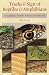 Tracks & Sign of Reptiles & Amphibians: A Guide to North American Species