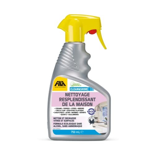 FILA Surface Care Solutions, CLEAN&SHINE, Spray Nettoyant Multi Surface Professionnel, Idéal pour Nettoyage Vitre, Adapté comme Nettoyant Vitre Voiture Interieur, Sans Traces, 750ml