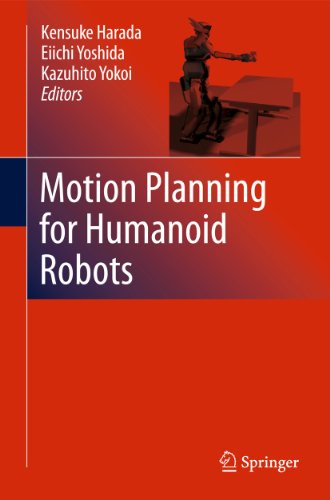 Motion Planning for Humanoid Robots view 2