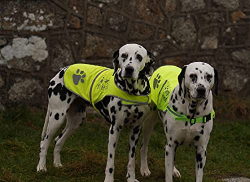 4LegsFriend Hunde Sicherheitsweste mit Leinenbefestigungsring 5 Größen - Hohe Sichtbarkeit für Outdoor Aktivitäten Tag und Nacht, Hält den Hund Sichtbar, Sicher vor Autos und Jagtunfällen (M)