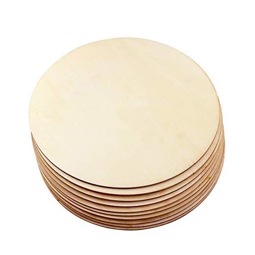 Newbested 10 Pack 8 Inch Unfinished Natural Wood Round Circle for DIY Crafts,Pyrography,Painting,Engraving,Home Decoration
