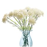 Leoyoubei 20 Inch Bouquets 10 Stem Carnations,Outdoor UV Resistant No Fade Artificial Flower,Carnation Silk Petals Fake Flowers Forever Plants for Home Party and Wedding Decor (White)