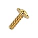 Wanyifa Titanium Torx Head M6 x15 20mm Bolt Screw for Bicycle Motorcycle Car Modification Pack of 6 (Gold, M6x20mm)