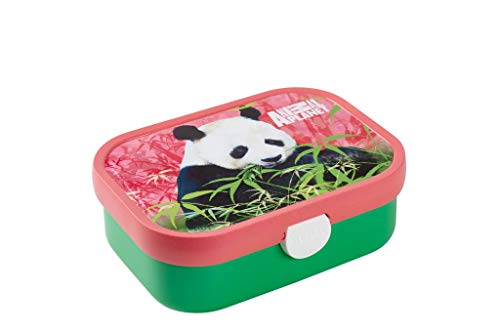 Preisvergleich Produktbild Brotdose Campus - Mepal - 700ml (Animal Planet Panda)