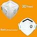 NIOSH Certified N95 Disposable Face Masks with Breathing-Valve White 10pcs Individually Packed Safety Particulate Respirators