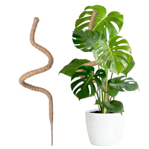Wigearss Bastone di Muschio, Palo Cocco Piante Sostegno Piante Supporti, Pieghevoli Fibra di Cocco, Tutore Muschiato per Monstera Rampicanti, 150cm
