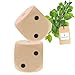 Produktbild 2X HOFMEISTER® Würfel Augenzahlen Holz 4cm - Holzwürfel Kinder Erwachsene Spielen Brettspiel Party Spieleabend Partyspiel, 100% Naturprodukt unbehandelt aus heimischem Buchenholz, 4 x 4 cm