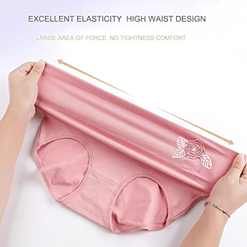 Image of Women's Multicolor Nylon Cotton High Waist Tummy Control Panty (Pack of 3)
