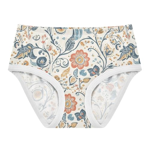 ZZKKO Vintage Floral Paisley Pattern Girls Underwear Toddler Panties for Girls Comfort Brief Size 2-8T