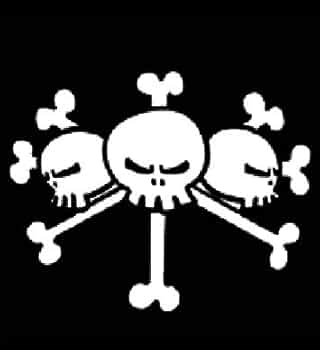 ワンピース 大海賊旗 白ひげ海賊団 赤髪海賊団 ビッグサイズ ワンピース 大海賊旗 白ひげ海賊団 赤髪海賊団 ビッグサイズ