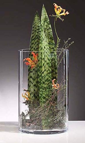 Glasvase Cyli zylindrisch klar 1 Stück 40 cm Ø 25 cm hot Cut von Sandra Rich