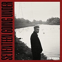 Seventeen Going Under