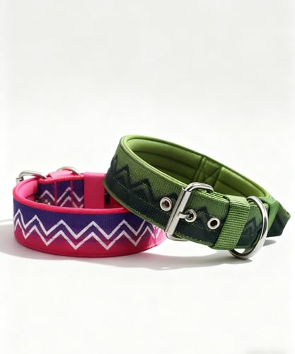 Hundehalsband Große Hunde NeckShield Kontroll - 5 cm Breit Halsband Hund mit Extra Dicker Polsterung und Griff, SGS-Zertifizierte Sicherheit, Professioneller Schutz 50-58cm, GRÜN