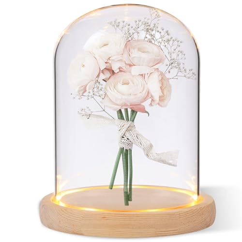 Cloche en Verre avec Socle en Bois Naturel, Mini Cloche en Verre Transparent, Décorative Transparente avec Fond en Bois pour Lumières, Décorations De Table,...