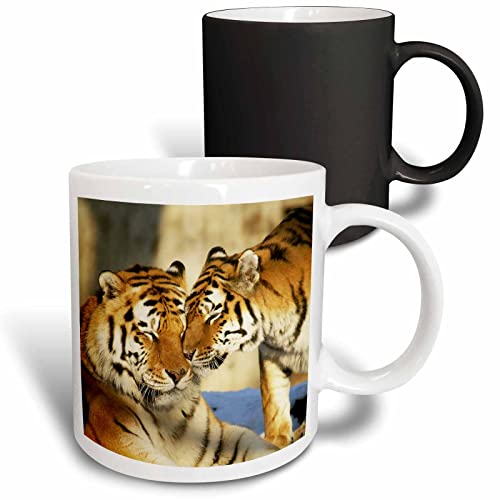 3dRose Image of Tigers 11oz Magic Transforming Mug
