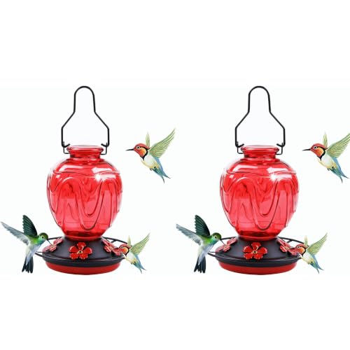 Image of 2 Pack Glass Hummingbird Feeder for Outdoors Hanging, 24Ozs Humming Bird Nectar Feeder w /Perch, 5 Flower Feeding Ports, Leak Proof Base and Hook for Outside Garden Backyard Decor, Red