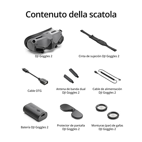 Ficha técnica DJI Goggles 2 - Fernando Cortés