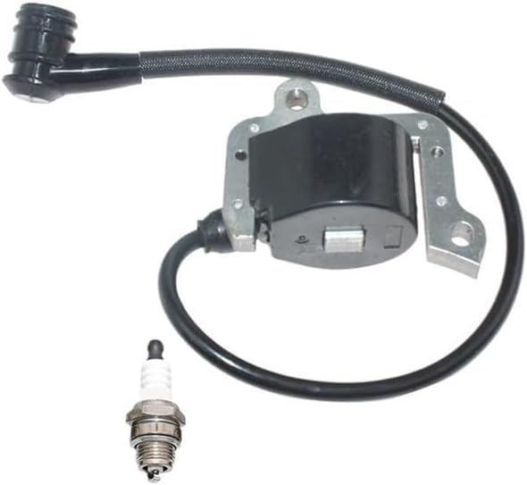 Ignition Fit for 423 423S 2300677 2300800 2300807 Mist Duster