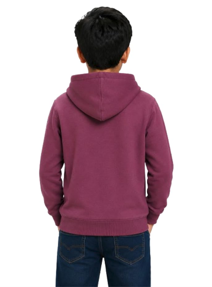 Image of Boys Hooded Sweatshirt | Cotton Blend Full Sleeve Hoodie for Boys