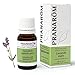 Pranarôm - Lavande Aspic Huile Essentielle HECT - Lavandula latifolia spica - Sommité Fleurie - 10 ml