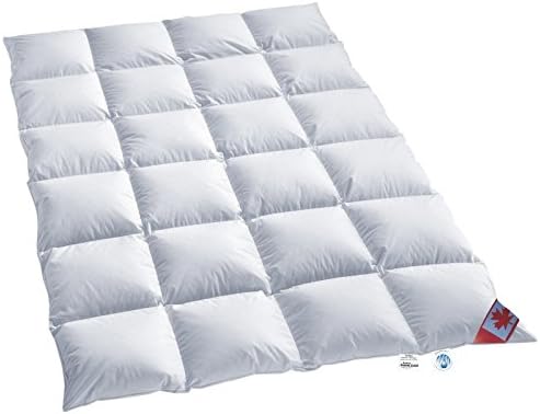 Bild von Schäfer Warme Winter-Daunendecke, 100 Daunen-Kassettendecken, natürliche Daunendecke, 155 x 220 cm 155 x 220 cm
