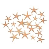 Utilisations multiples : ces charmantes étoiles de mer peuvent être utilisées dans les travaux manuels en résine, la conception de bijoux, la fabrication de bougies et comme remplissage décoratif dans les aquariums