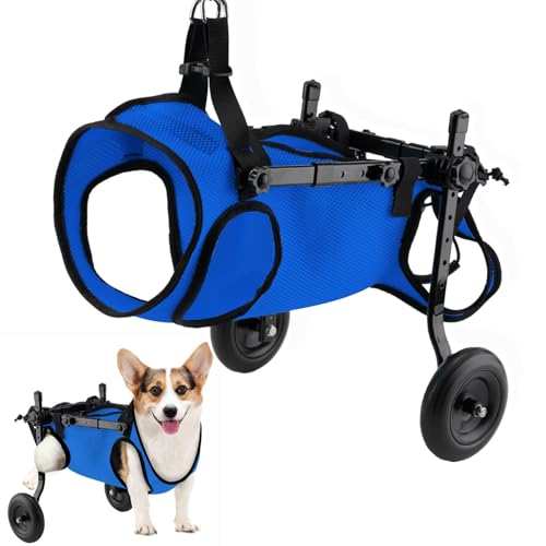 Silla de ruedas para perros ajustable: paseos cómodos y libertad de movimiento en talla XS azul