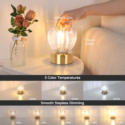 Image of Shenmoyl Cordless Small Table Lamp with 5200mAh Battery & Touch Control, Battery Operated Tulip Table Lamp with 3 Colors, Rechargeable Mini Table Lamps for Bedsides, Bedroom, Nightstand (Transparent)