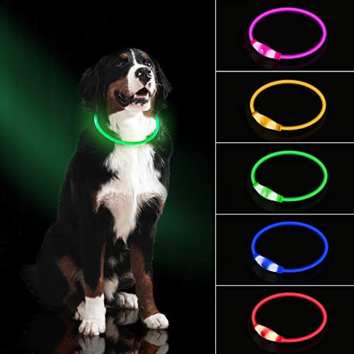 LMLMD Collar de Perro con luz LED, Recargable por USB, Collar Brillante para Seguridad Nocturna, Collar de Moda Iluminado para Perros pequeños, medianos y Grandes