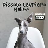 levriero spagnolo  Piccolo Levriero Italiano Calendario 2023: Un calendario mensile di 18 mesi luglio 2022 a dicembre 2023 8.5 x 8.5 pollici. Un grande regalo per ... o qualsiasi altra occasione speciale