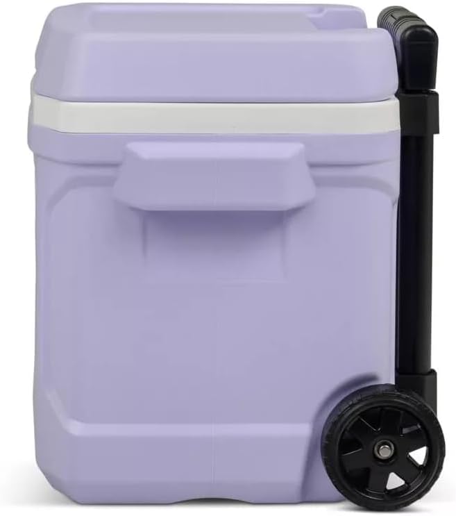 Igloos Cooler Hard-Sided Ice Chest, Insulated Portable Cooler, Heavy-Duty, Leak-Resistant Lid, Lightweight Ergonomic Handle (Lilac, 16 Quart)