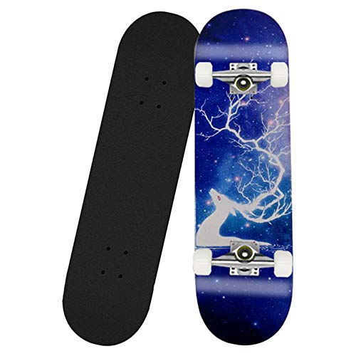 Planche à roulettes pour débutants enfants et jeunes skate board complet