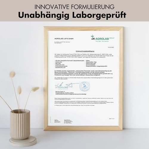 DAO Kapseln 120 Stück (hochdosiert) - 300.000 HDU pro Tagesdosis – Ansicht 4