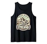 Passo dello Stelvio Italia strada di montagna avventura ciclismo escursionismo arrampicata moto giro paesaggio alpino cime neve curve tornanti amanti della natura viaggi esplorazione all'aperto, perfetto per chi ama le attività all'aria aperta come ciclismo, trekking, viaggi su strada in italia