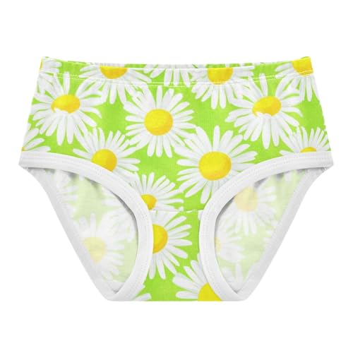 Joisal Cotton Girls Underwear Toddlers White Daisies Green Textured Girl Panties Cute Designer Briefs Underpants 2t