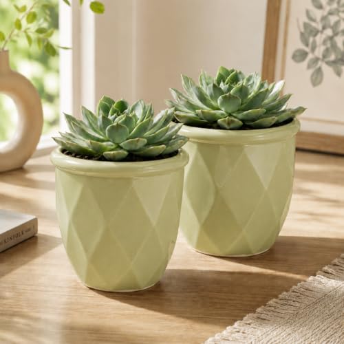 Image of ecofynd 4 Inch Ceramic Plant Pots with Drainage Hole, Modern Decorative Clay Flower Pots for Indoor Plants, Home Garden Decor for Living Room, Bedroom & Interior Spaces (Pack of 2, CPOT043-LGN)