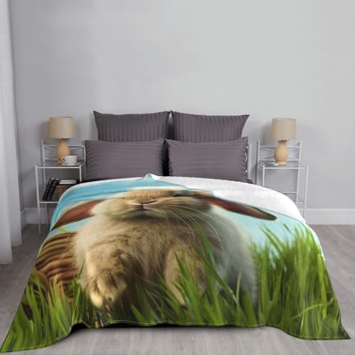 Couverture en micro polaire lapin 127x101 cm pour canapé