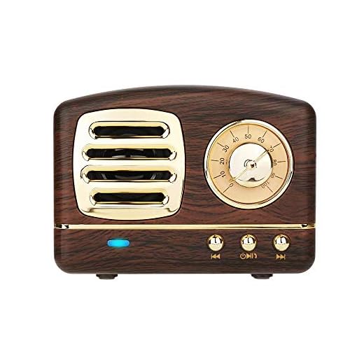Dosmix Wireless Stereo Retro Speakers, Portable Bluetooth Vintage Speakers with Powerful Sound, Answering Calls, Alexa Support, TF Card, AUX for Kitchen Bedrooms Party Outdoor Android iOS Wooden