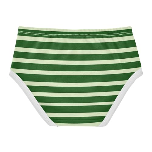Green Stripe Toddler Girls's Underwear 2T 23008742