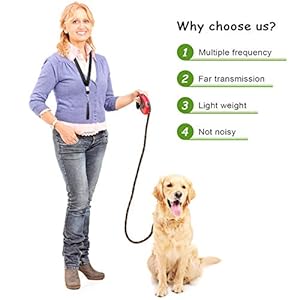 Weewooday 5 Pieces High Pitch Plastic Dog Whistles for Recall Training Dog Training Whistle with Lanyards and Key Rings black Orange Blue Purple Green  Cucciolini Doodles Weewooday 5 pieces high pitch plastic dog whistles for recall training dog training whistle with lanyards and key rings black orange blue purple green   cucciolini doodles