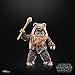 STAR WARS The Black Series Wicket, Return of The Jedi 40th Anniversary 6-Inch Collectible Action Figures, Ages 4 and Up