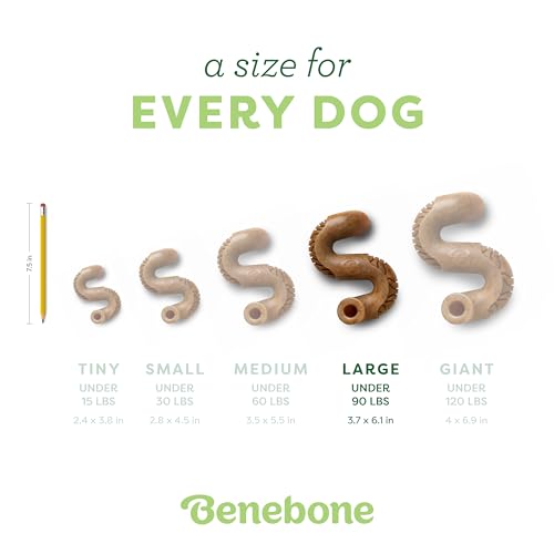Image of Benebone Tripe Bone Durable Dog Chew Toy for Aggressive Chewers, Real Tripe, Made in USA, Large