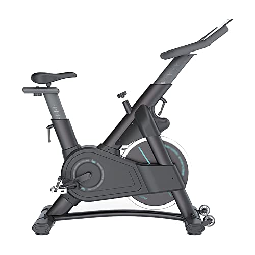 FYNNDM Bicicletas estáticas, Bicicletas estáticas de Interior, reposabrazos Ajustables en Cuatro direcciones, magnetrones Bluetooth, cómodos Equipos de Fitness.