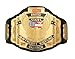 United States Championship Belt - World Heavyweight United States Replica Title Wrestling Champion Belt (WCW US)